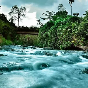 Rivertree Hotel