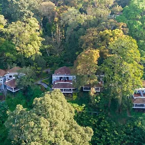 Resort The Tall Trees, Munnar