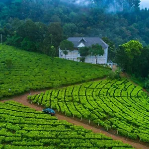 Tea Harvester Hotel